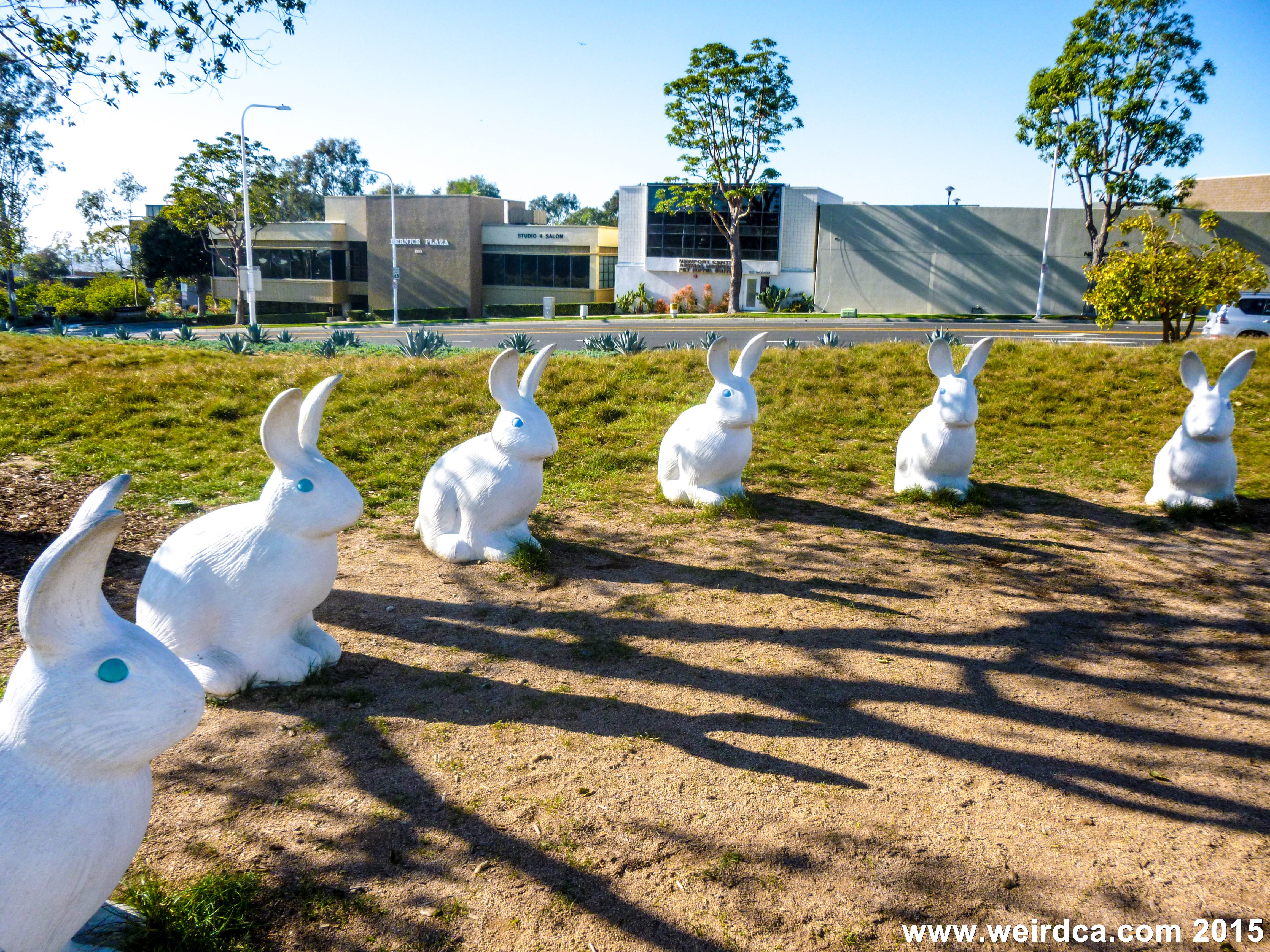 Bunny henge