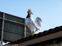 Compton has a giant rooster on top of a chicken restaurant.