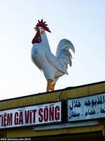 Midway City Giant Rooster