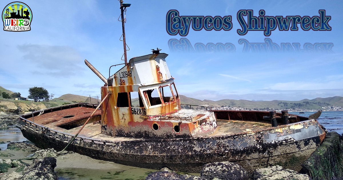 SHIPWRECKS AND SEA MONSTERS / California / Bay of Monterey